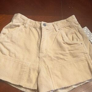 New BDG High-Rise Carpenter Frayed Shorts Size 29